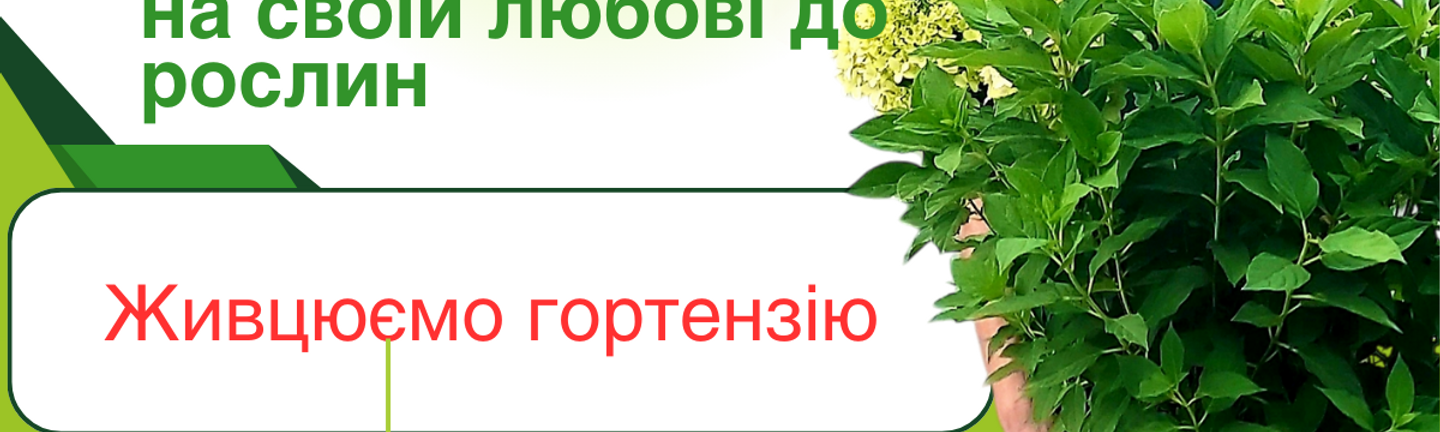 курс горт1